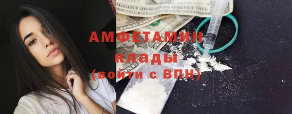 индика Нефтекумск