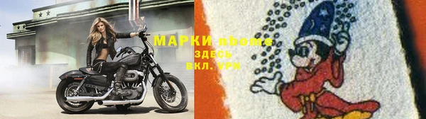 индика Нефтекумск