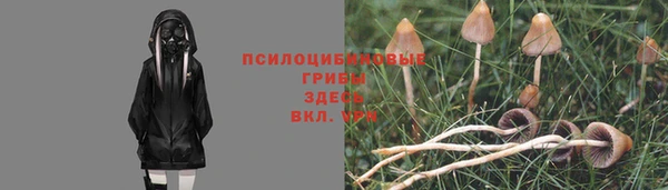 кокаин VHQ Белокуриха
