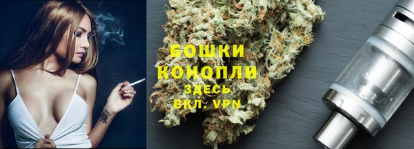 дмт Нея