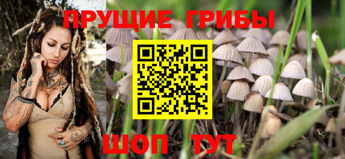 Псилоцибиновые грибы MAGIC MUSHROOMS Людиново
